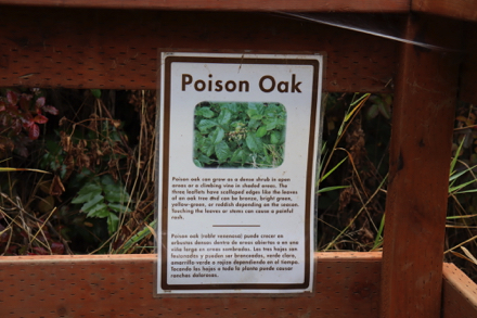 Poison Oak sign in English and Spanish